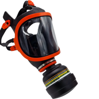 Full face mask